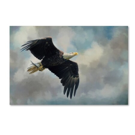 Jai Johnson 'Fish In The Talons' Canvas Art,22x32